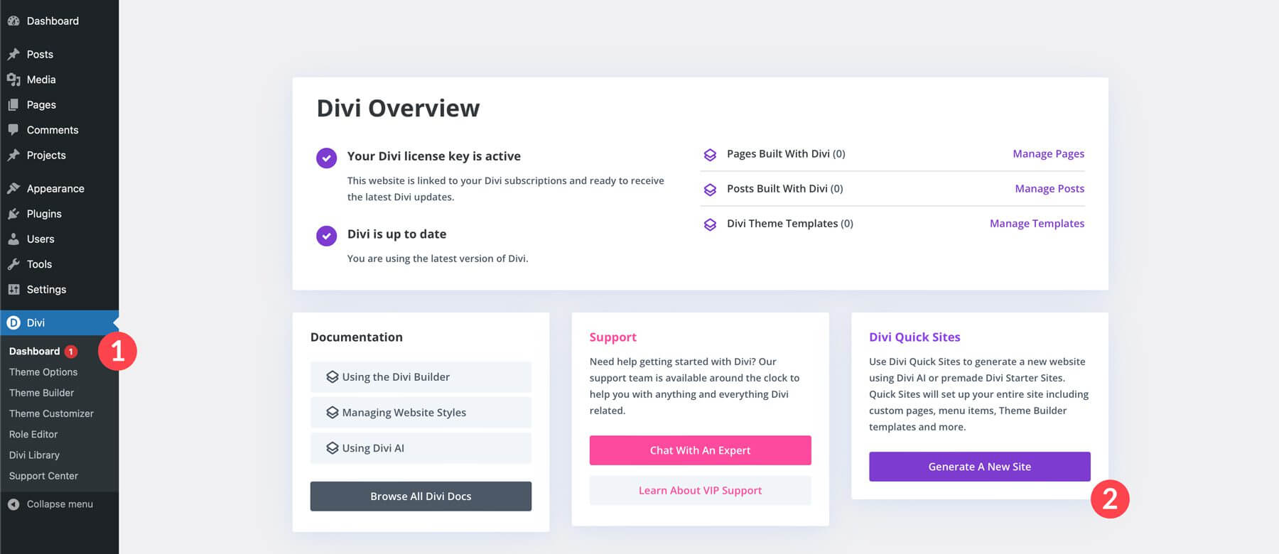 divi starter site divi starter site