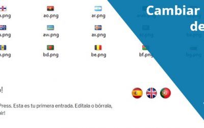 Cambiar las banderas de Polylang