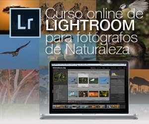 Tutorial de revelado RAW con Lightroom