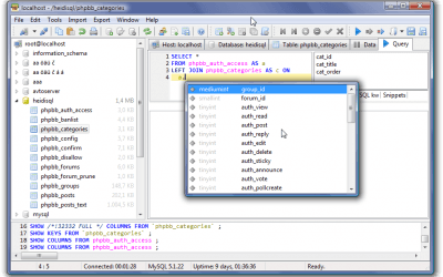 HeidiSQL Editor de MySQL con autocomplete